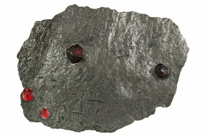 Plate of Four Red Embers Garnets in Graphite - Massachusetts #313668